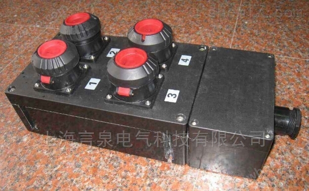 BXX8050-2/16/380防爆防腐电源插座开关箱