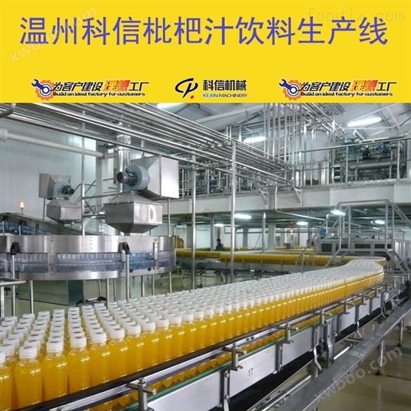 整套枇杷汁饮料制作设备价格|新型枇杷汁灌装生产线设备厂家