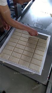 TY不锈钢豆腐干机生产线 全自动豆干豆皮压机