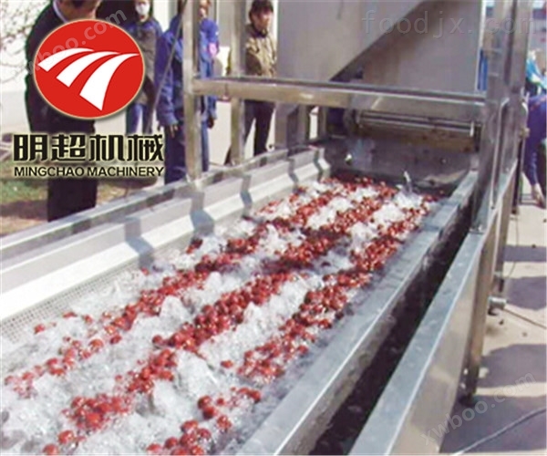 一小时500公斤红枣毛刷喷淋清洗机生产厂家