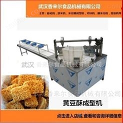 荆州黄豆酥全自动加工机械设备有售