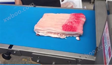新鲜牛腩猪肉鸡鸭鱼自动分切机开条丁块设备