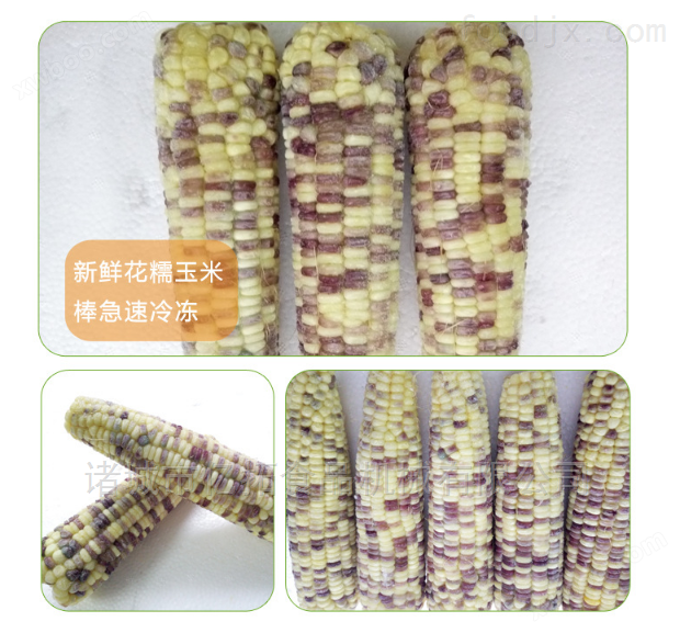 鲜食玉米加工设备