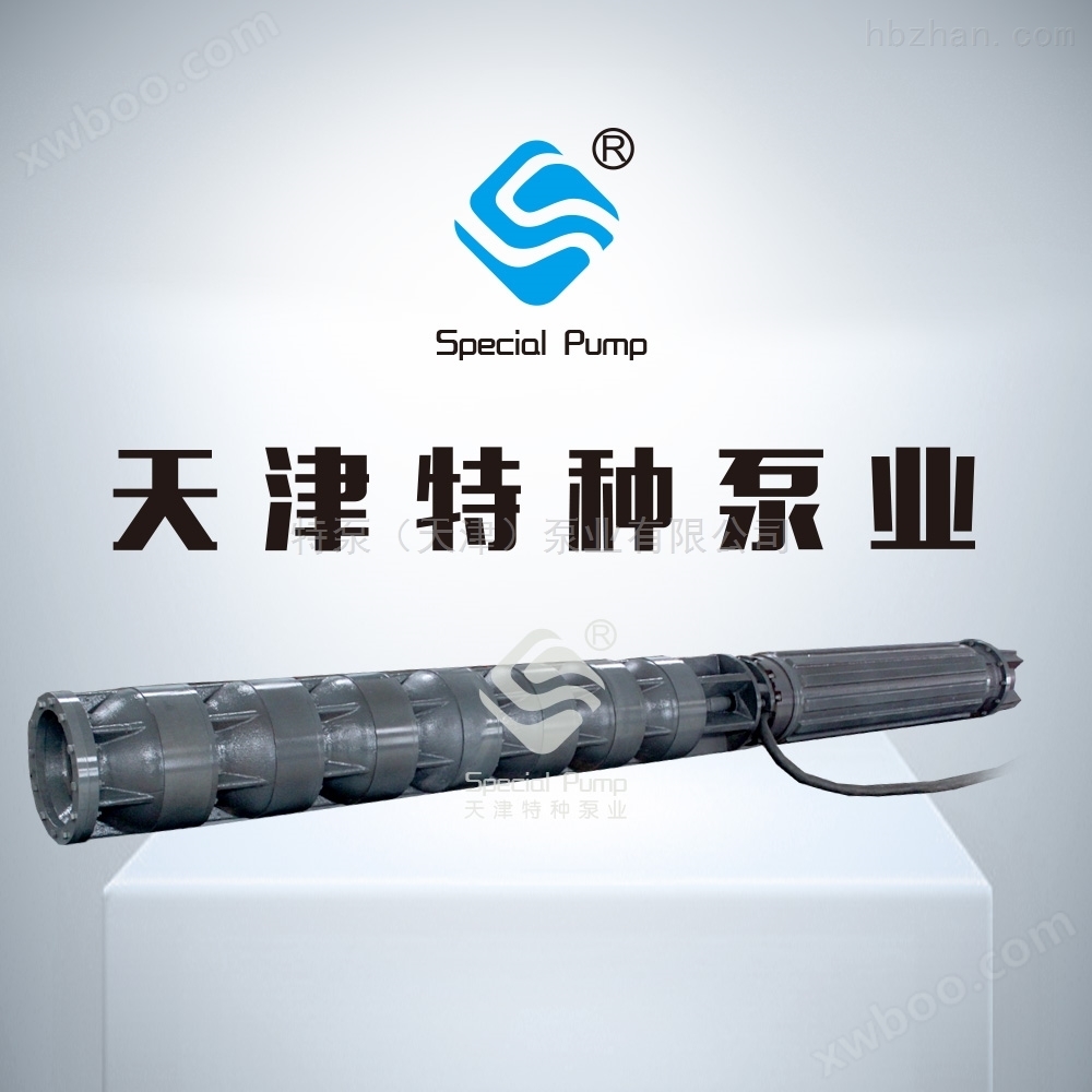 天津特种泵业200QJ潜水泵图片