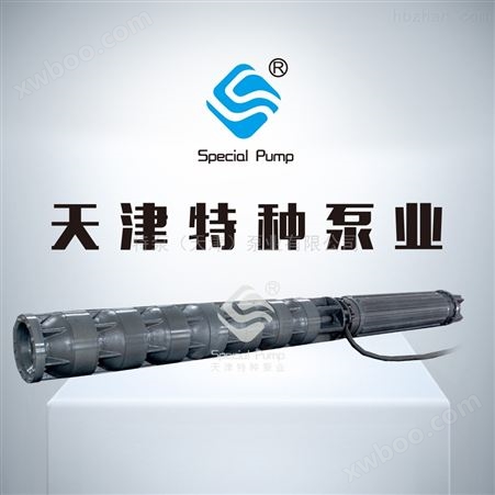 天津特种泵业250QJ潜水泵图片