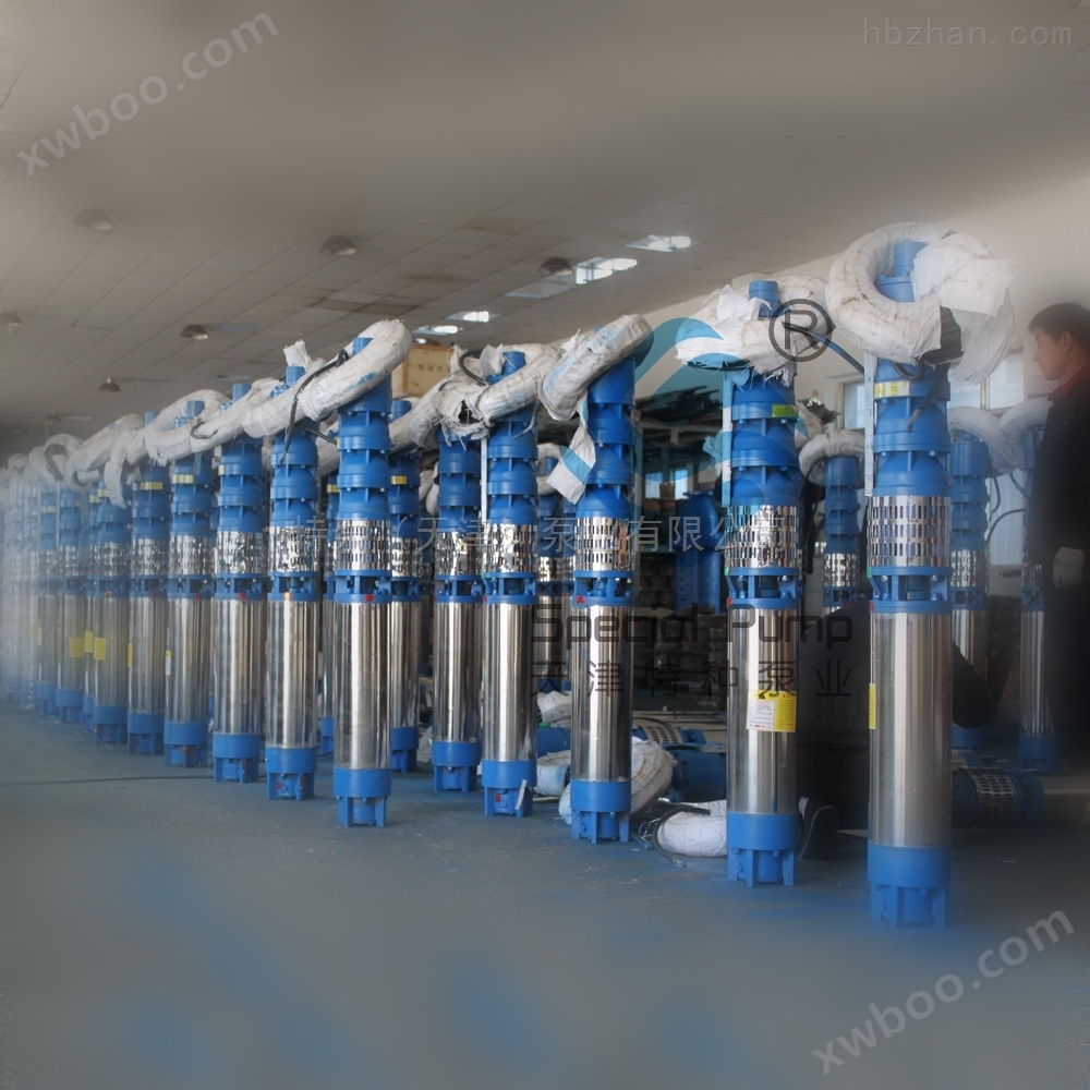 天津特种泵业300QJ潜水泵图片