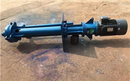 50ZJL-18型朴厚水泵立式液下泵