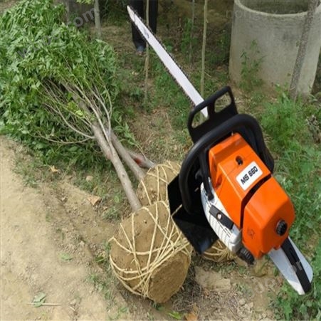 便携式苗木断根机挖树机视频