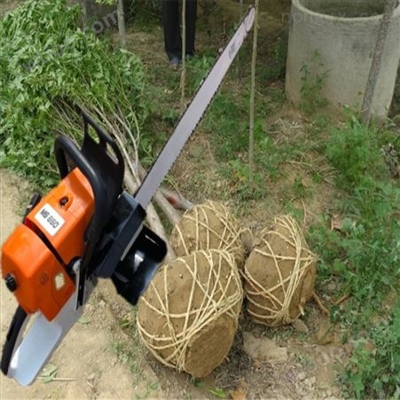 十堰市断根挖树机 林木机械起苗机