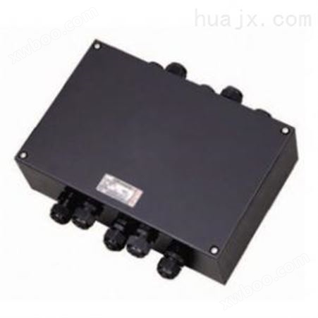 BJX8050-20/28防爆防腐接线箱