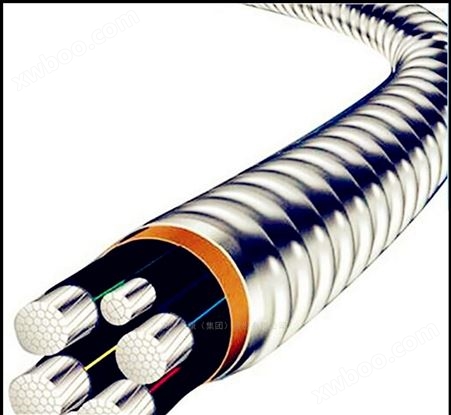 YJHLV82（ACWU90）型铝合金电缆