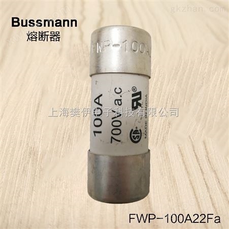 巴斯曼快熔断器保险丝FWP-100A22FA原装*