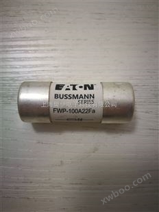 巴斯曼快熔断器保险丝FWP-100A22FA原装*