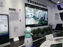 供应涿州农业科技馆展览讲解机器人