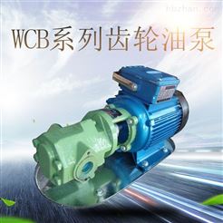 皂液油泵 WCB系列手提式齿轮油泵