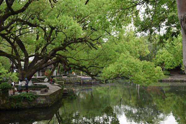 2025年秋季长江口近岸海域水质监测工作圆满收官