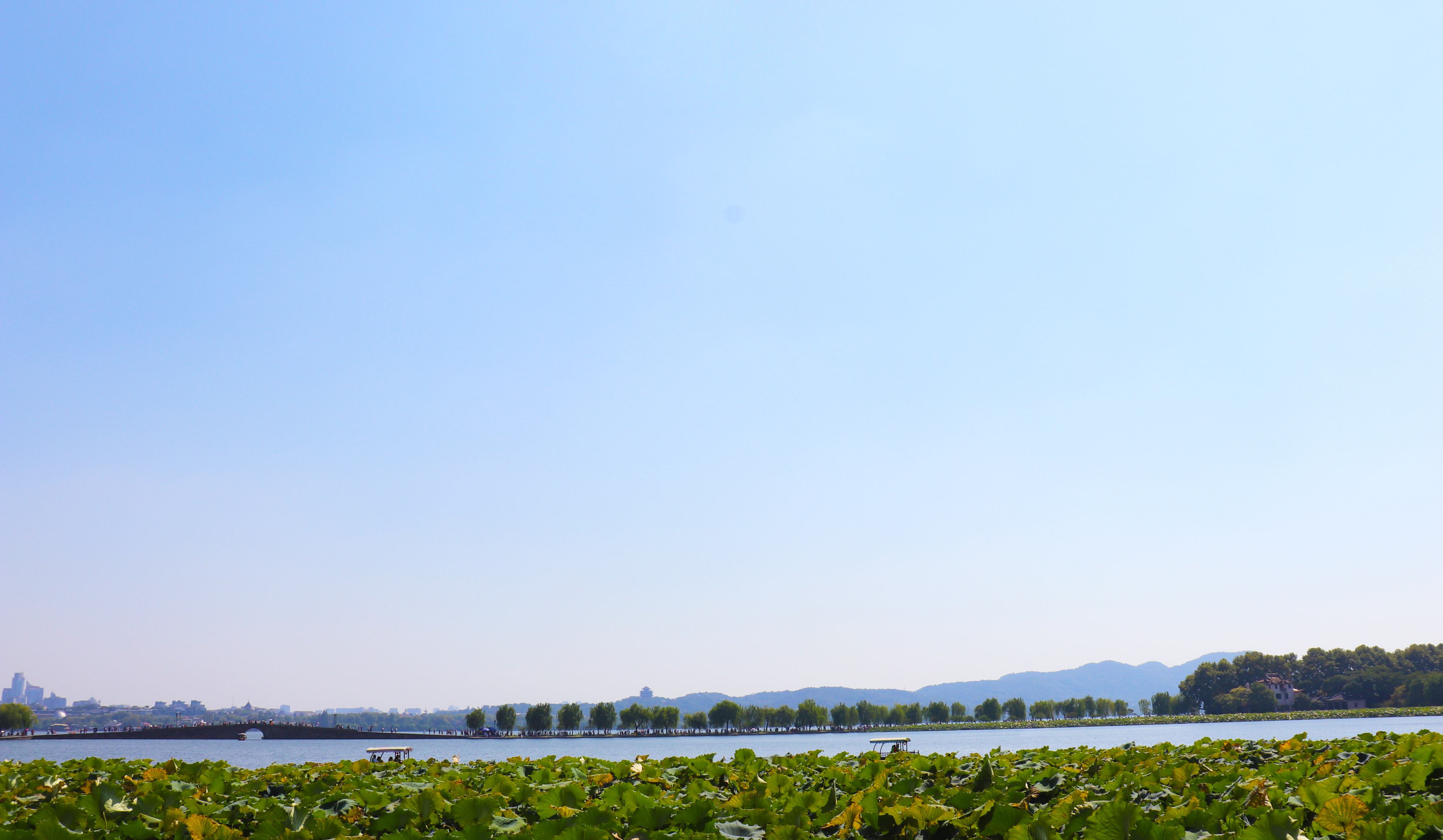 《青海湖刚毛藻遥感监测技术规范》等3项青海省地方标准拟批准发布